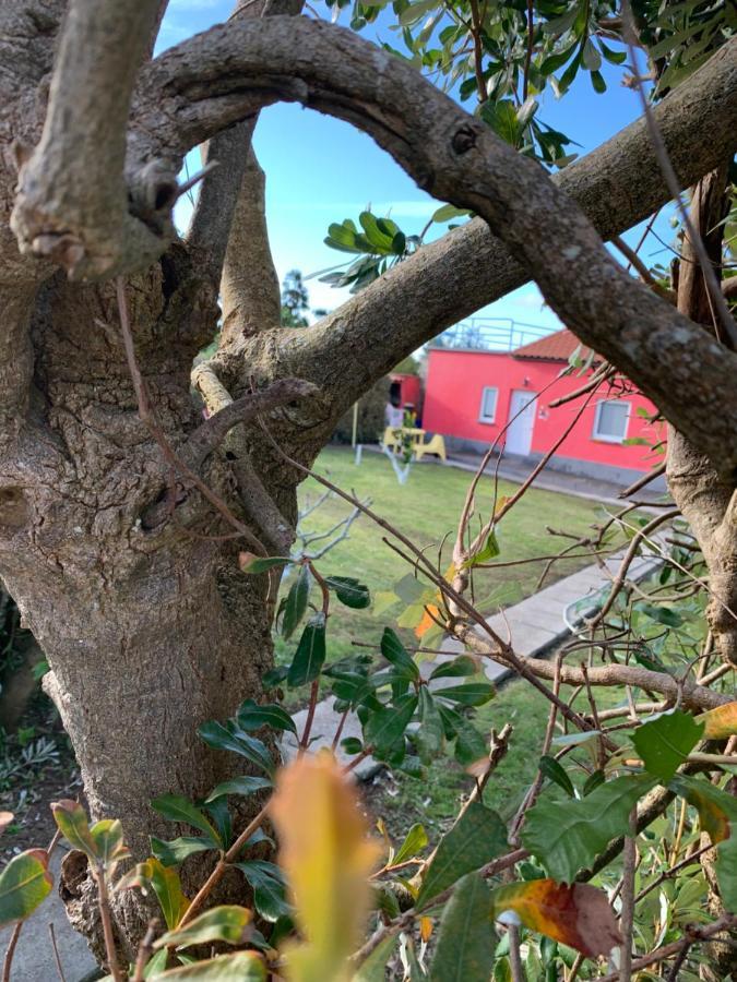 Quinta Do Norte - Biscoitos Villa Angra do Heroísmo Dış mekan fotoğraf