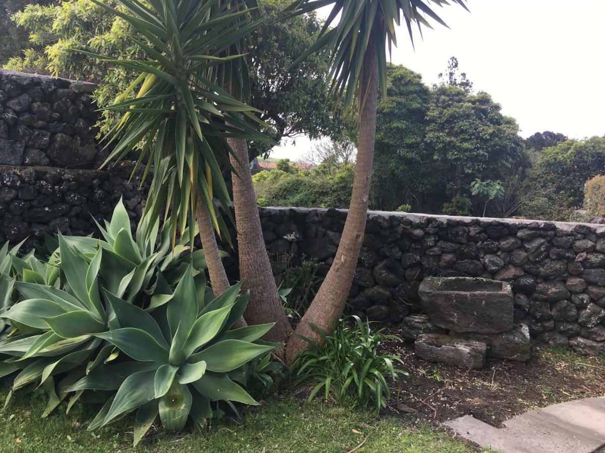 Quinta Do Norte - Biscoitos Villa Angra do Heroísmo Dış mekan fotoğraf